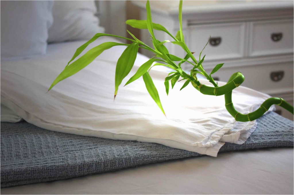 Бамбуковое постельное бельё: правила ухода и его особенности